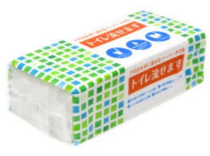 图片 【可直接冲入马桶】可溶性纸巾（100张装