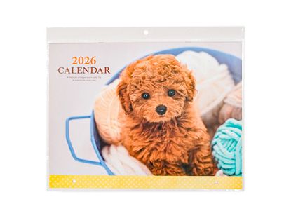 图片 【2026 年日历】2026 狗狗写真 B3 对开日历