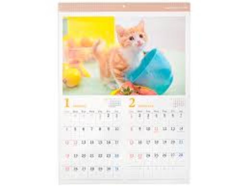 图片 【2026 年日历】2026 猫咪写真 A2 壁挂日历