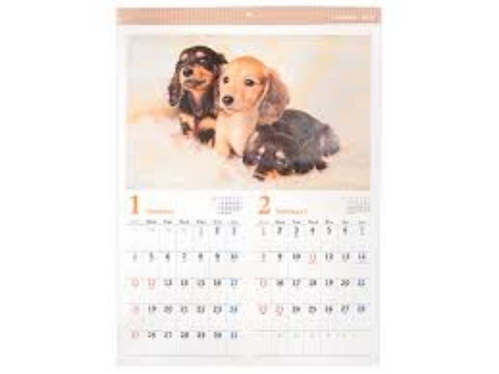 图片 【2026 年日历】2026 狗狗写真 A2 壁挂日历