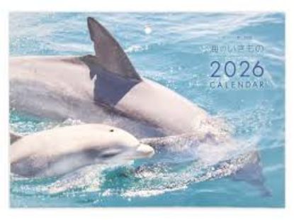 图片 【2026 年日历】A3 对开装订海洋生物壁挂日历